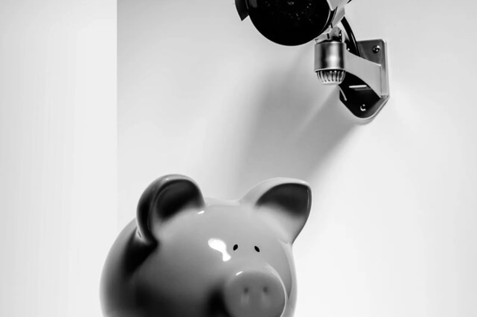 Piggy bank with camera