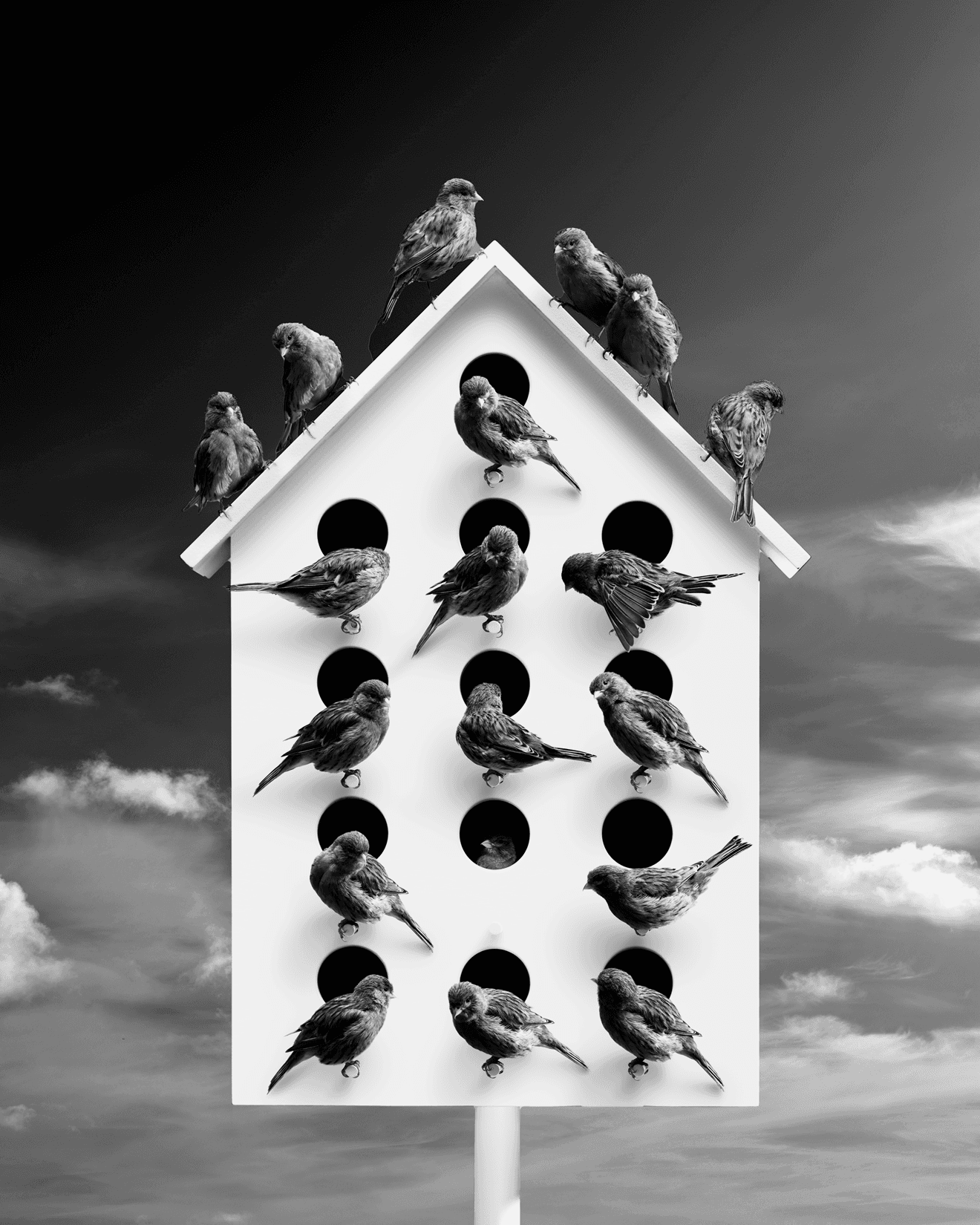 Birdhouse with several birds perched around it under a cloudy sky