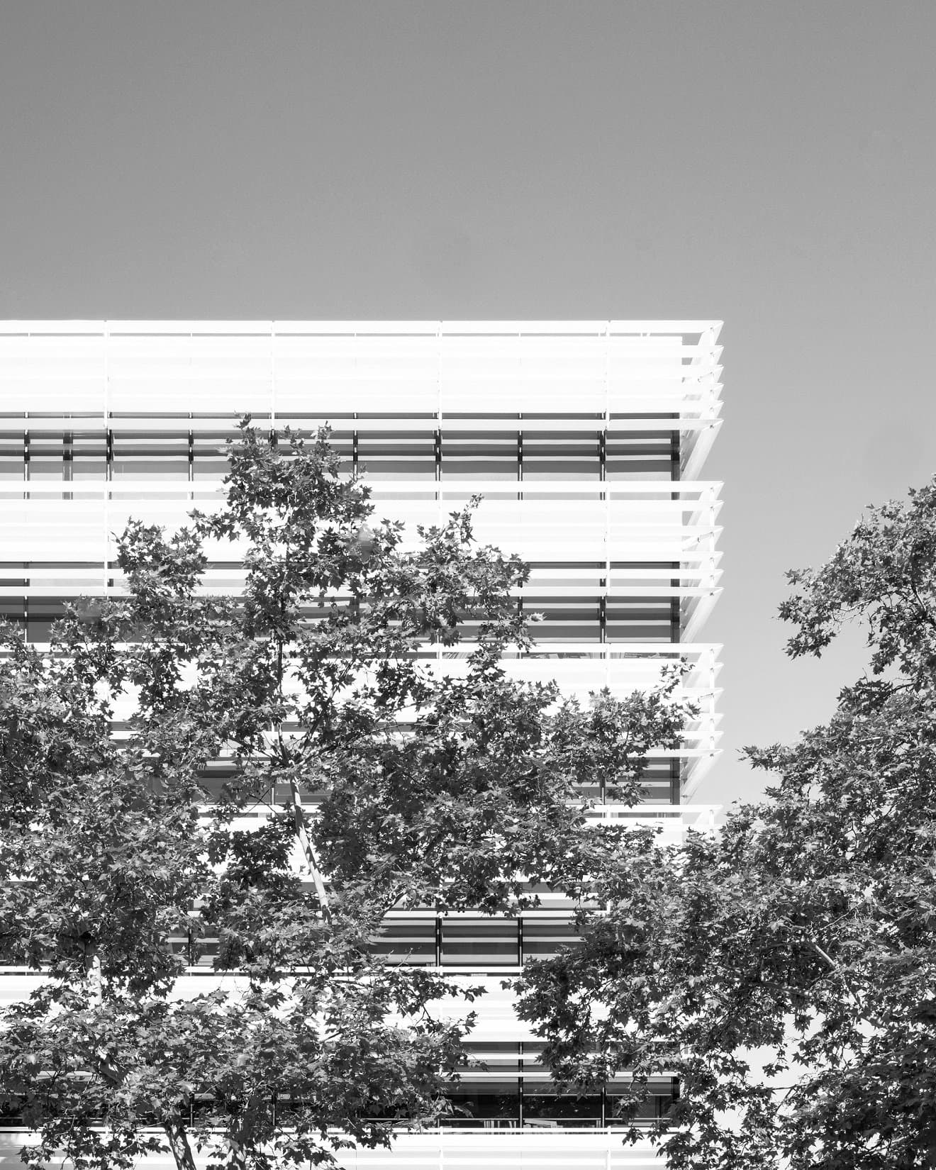 A modern apartment block covered by greenery