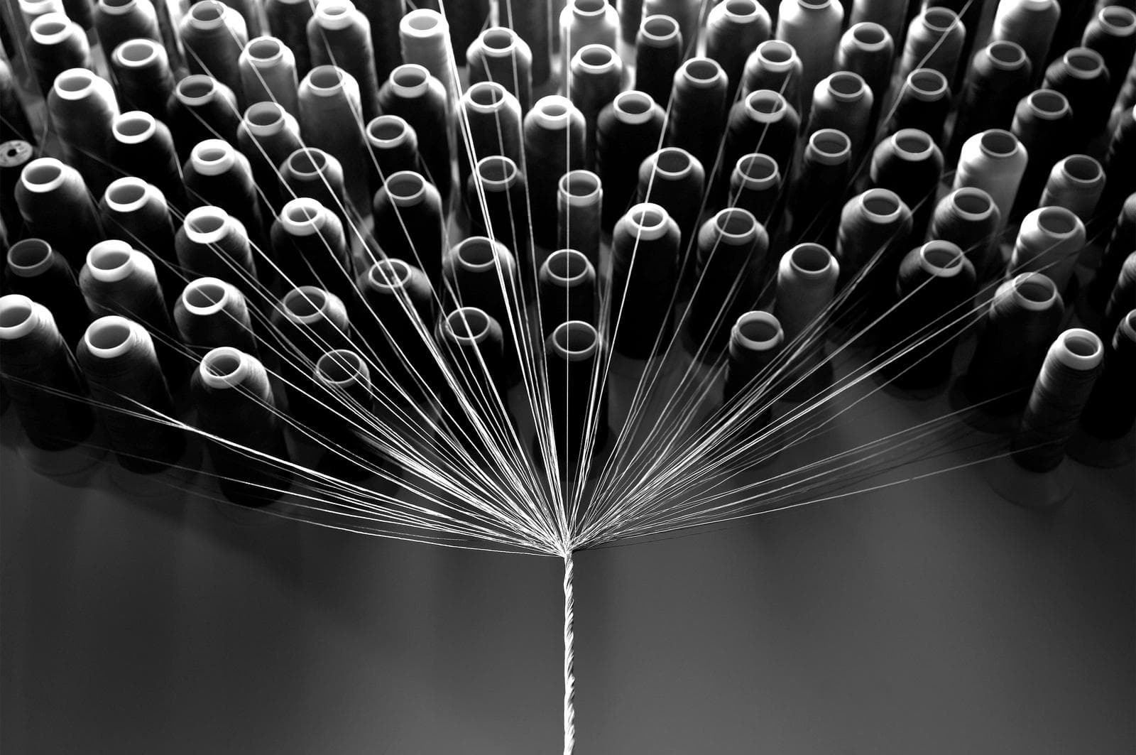 Spools of thread
