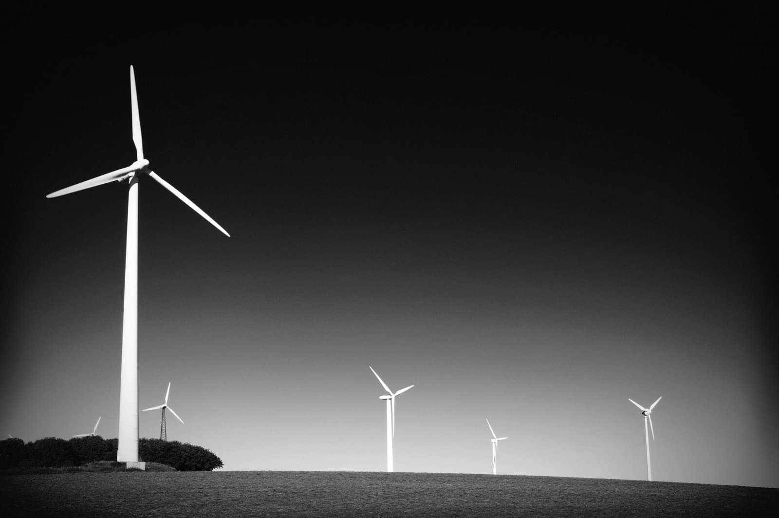 Wind turbines standing across an open landscape beneath a clear sky.