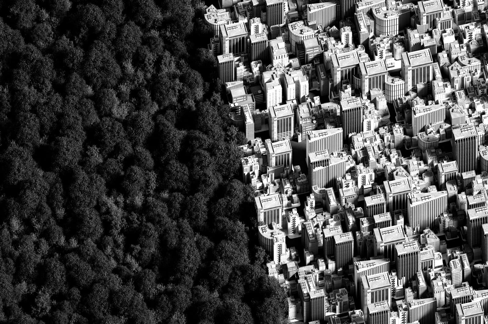 Woodland area against a built up city